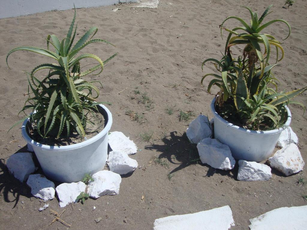 Beach Break Faliraki Exterior photo
